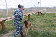 Грунина О.О.-На шутливой волне