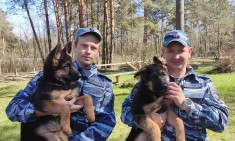 Травкин -НП- Друзья, товарищи.