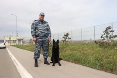 Грунина О.О.-Полиция глазами общества 